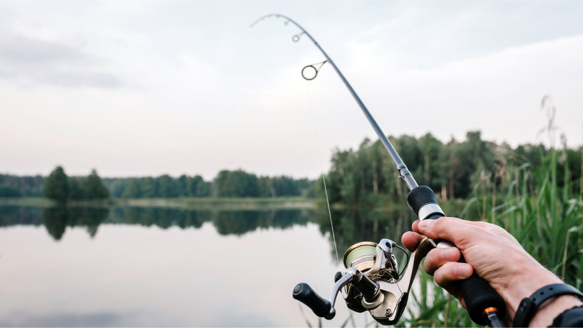 Artax Fishing